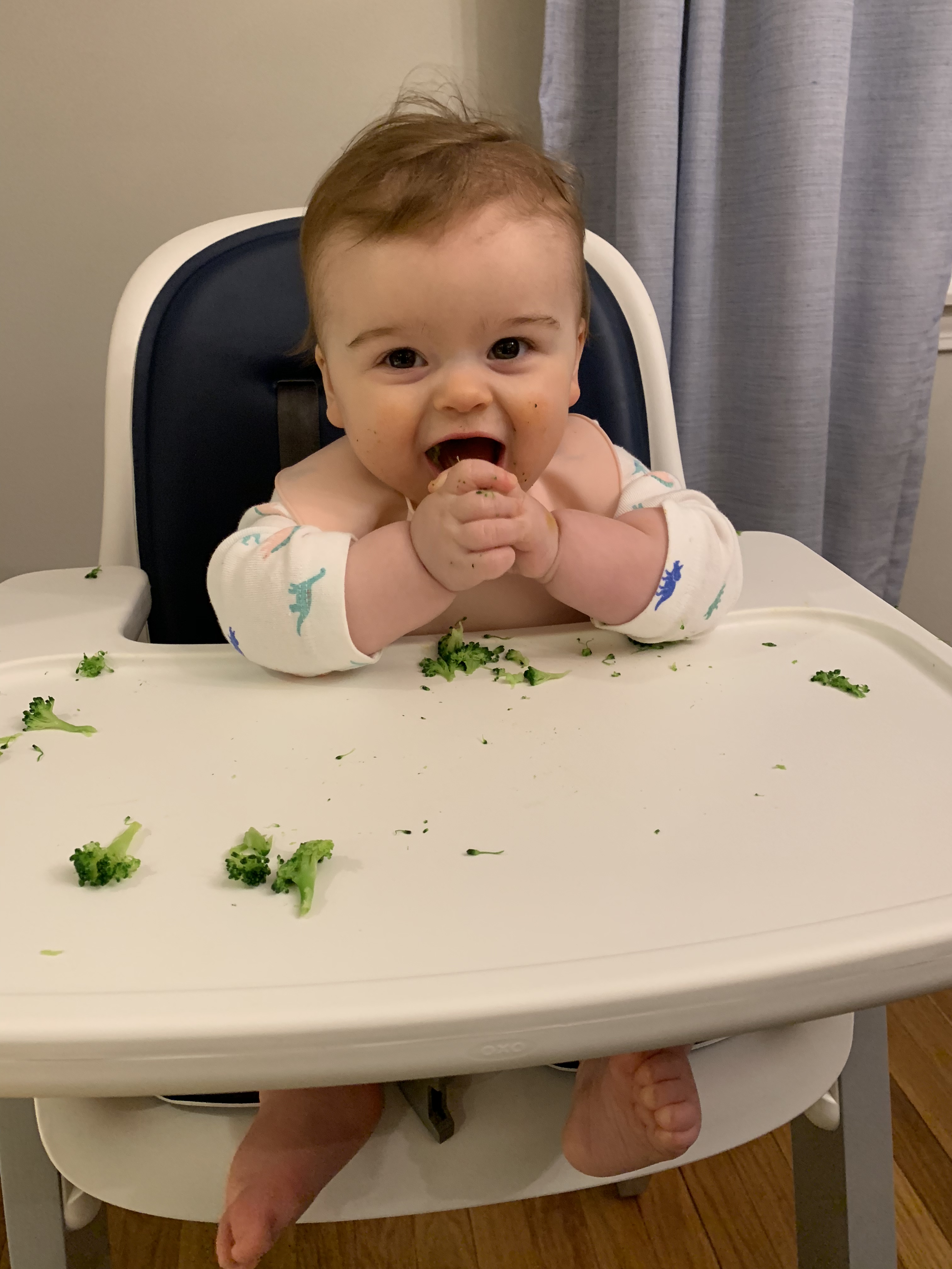 INTRODUCING SOLIDS – 6 – 8 MONTHS